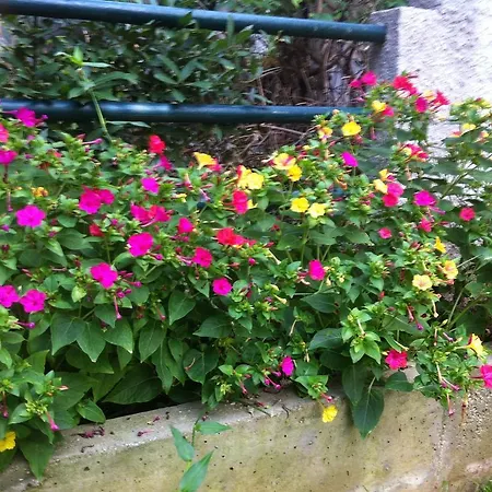 Guest house Liska